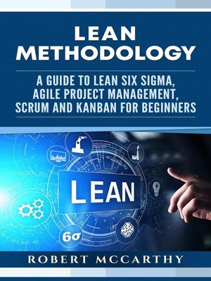Lean Methodology - ebook